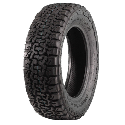 Accelera Omikron CT
